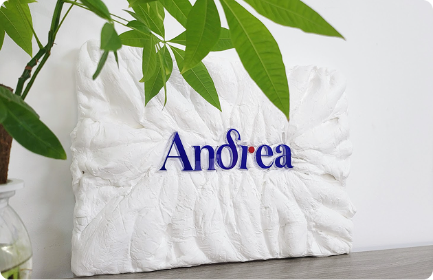 Andrea Agency Branding